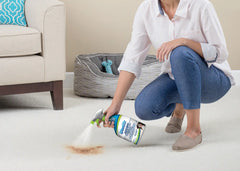Woolite® Advanced Pet Stain & Odor Remover + Sanitize
