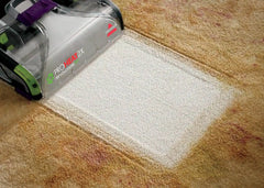 Woolite® Oxy Deep® Steam Pet Carpet & Upholstery Cleaner (64 oz.)