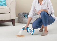 Woolite® Advanced Stain & Odor Remover + Sanitize