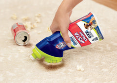 Woolite® INSTAclean® Pet Stain Remover