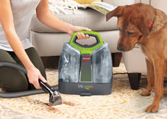 Little Green™ Spot & Stain Formula for Portable Carpet Cleaners (32 oz.)