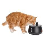HydrateWell™ Automatic Water Fountain