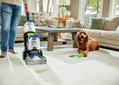 Woolite® Oxy Deep® Steam Pet Carpet & Upholstery Cleaner (64 oz.)