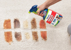 Woolite® INSTAclean® Pet Stain Remover (22 oz)
