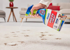 Woolite® INSTAclean® Pet Stain Remover (22 oz)