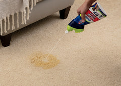 Woolite® INSTAclean® Pet Stain Remover