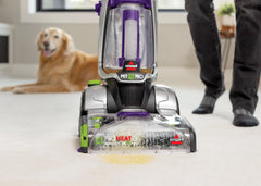 Woolite® INSTAClean® Pet Machine Formula (32 oz.)