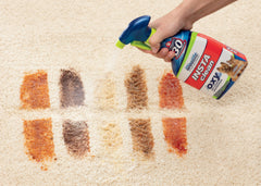 Woolite® INSTAclean® Pet Stain Remover (2-Pk) & 1            Stomp 'n Go® Pet Stain Lifting Pad