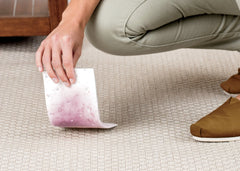 Woolite® INSTAclean® Pet Stain Remover (2-Pk) & 1            Stomp 'n Go® Pet Stain Lifting Pad