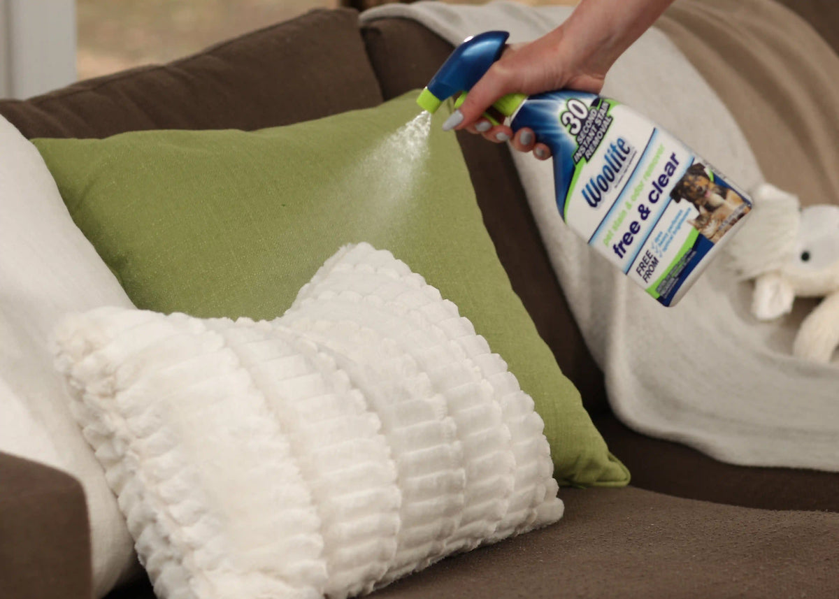 Woolite® Free & Clear Pet Stain & Odor Remover            Pretreat