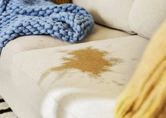 Woolite® Carpet Pet Urine Eliminator with Brush Head            Cleaner
