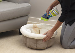 Woolite® Carpet Pet Urine Eliminator with Brush Head            Cleaner