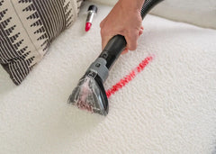 Little Green® ProHeat® Pet Portable Carpet Cleaner