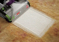 Clean + Protect Carpet Cleaning Formula (60 oz.)