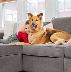 Revolution™ PET OXY Deep Clean Free & Clear Upright Carpet Formula