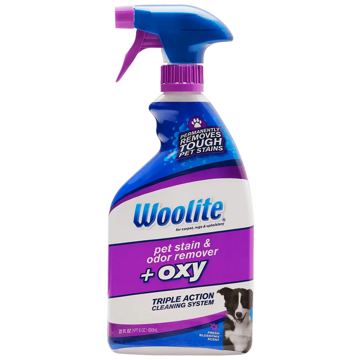 Woolite® Carpet Pet Stain & Odor + Oxy Spray