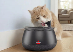 HydrateWell™ Automatic Water Fountain